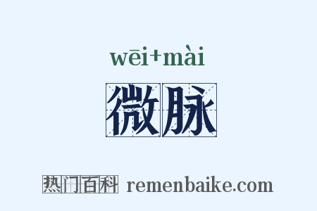 微脉是什么意思的图片